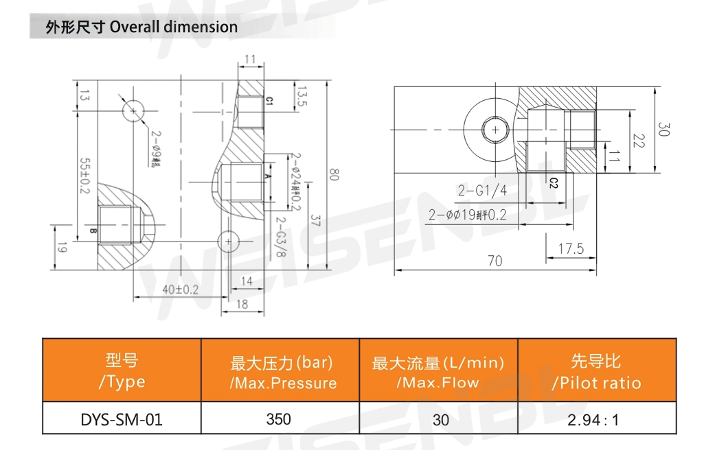 New-Style Hot Sale Roller Hydraulic Lock Single Pilot Check Valve