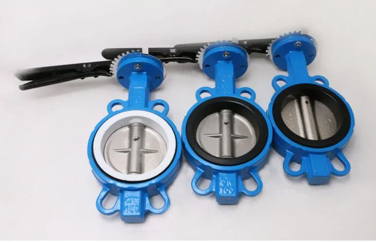 Double Eccentric Waterproof 2 Inch DN50 3 Inch DN80 Cast Iron Wafer Type Motor Control Actuator Electric Butterfly Valve
