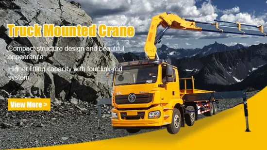 Precio de grúa hidráulica de 6,3 toneladas Grúa montada en camión móvil Grúa de elevación Maquinaria de construcción Grúa para la venta